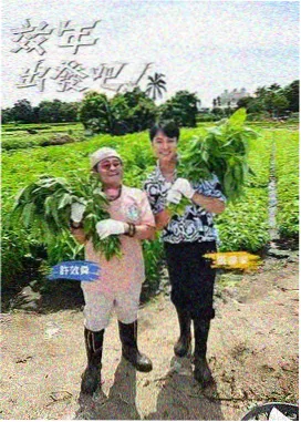 深夜漫谈综艺节目在线观看